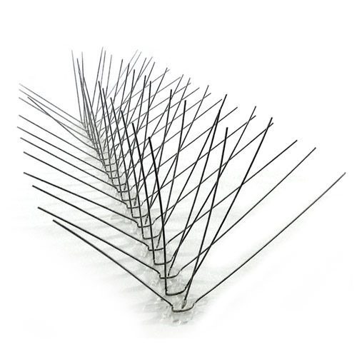 stainless-steel-bird-spikes-500x500