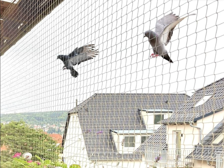 Pigeon Net in Mumbai