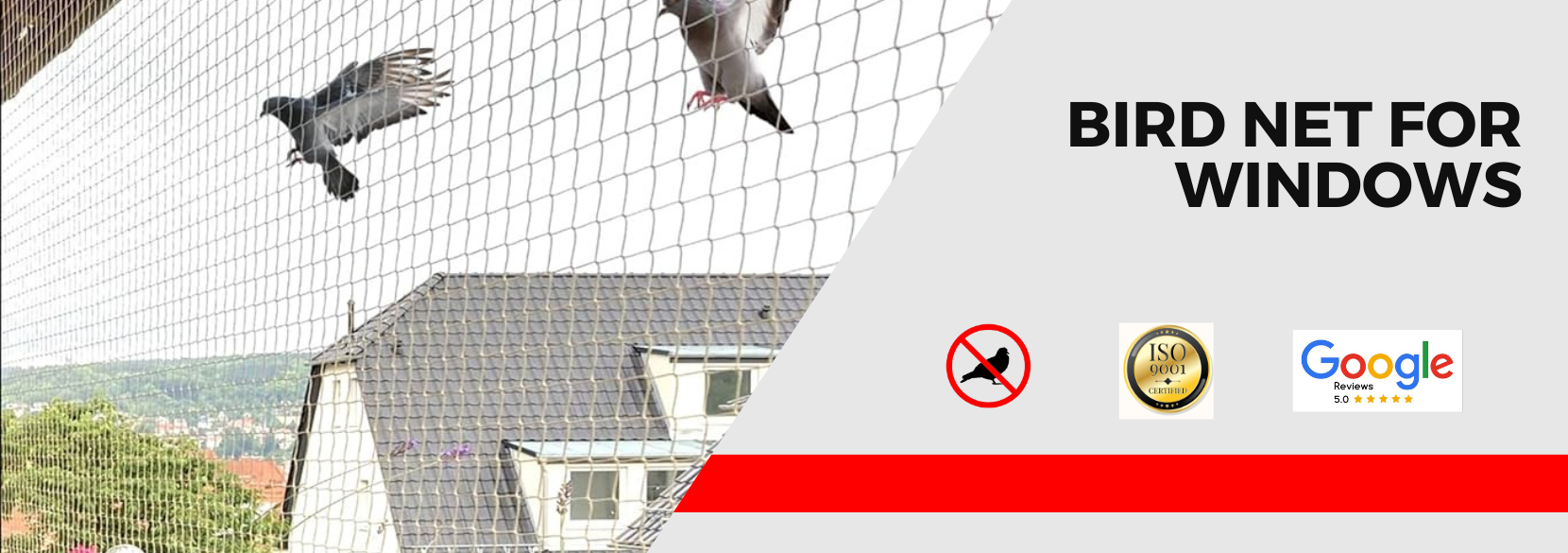 bird net for windows